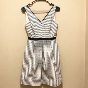 White House Black Market fit and flare dress